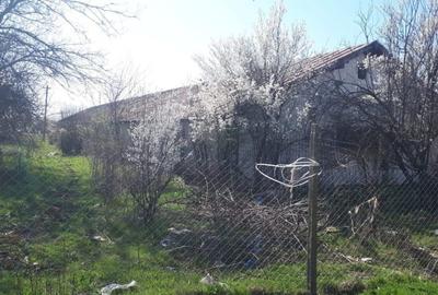 Vand Ferma Giurgiu - 3