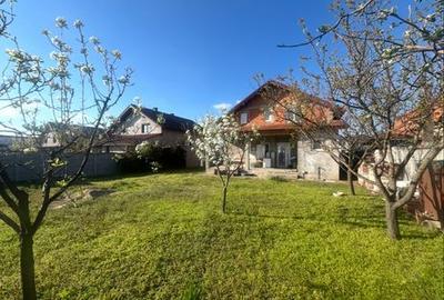 Casă cu 4 camere în Orțișoara - 6