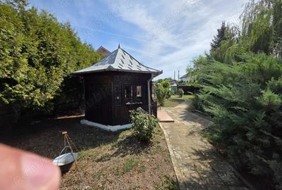 Casa 127 mp + teren 1800 mp, foisor si iaz - Dragasani - 10