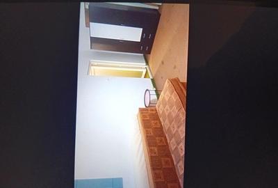 Garsonieră decomandată în Dristor