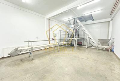 Hala industriala | Freidorf | Timisoara - 1