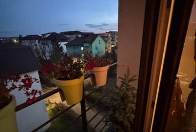 Apartament cu 3 camere/vedere superba catre Mun?ii Igni? - 5