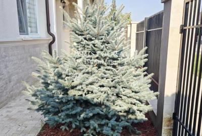 Inchiriere vila cartier cu acces securizat - 1