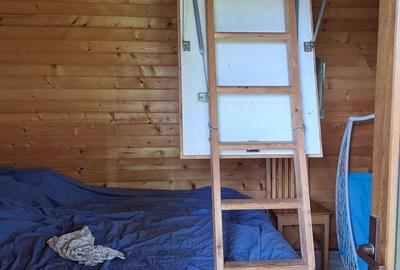 Casă cu 6 camere cu Teren 2700 Mp în Bradu - 3