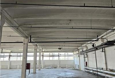 Spatiu Industrial - 3000 mp - Productie - Depozitare - Distributie - 22