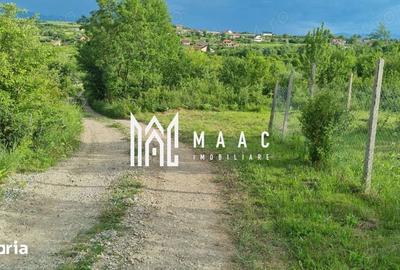 Teren de 1000 mp, în Roșia - 1