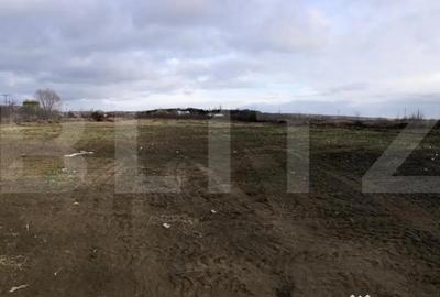 Teren de 20000 mp, în Central - 2