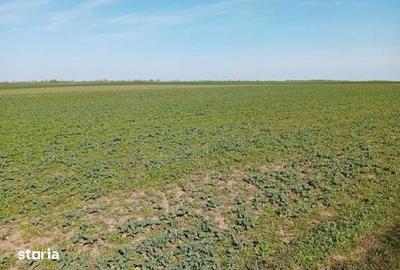 Teren de 5000 mp, în Umbrărești - 2
