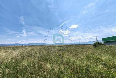 Teren intravila industrial, 5500 mp, Prejmer, Brasov - 6