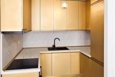 Apartament cu 2 camere semidecomandat, mobilat în Cotroceni - 5