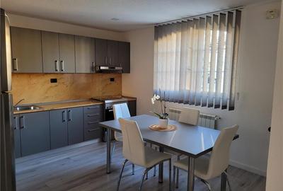 Inchiriez casa zona centrala Podgoria Arad - 10