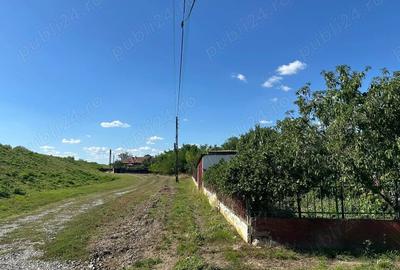 Casă cu 2 camere în Ant - 2