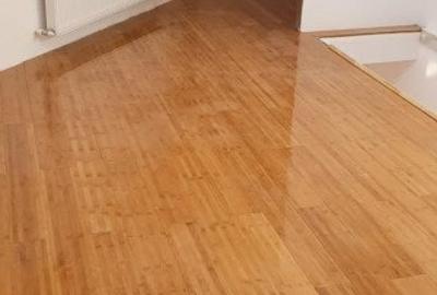 Casa Domenii, 4 camere, 91mp, pretabil si pentru clinica/firma, 1 Mai - 15