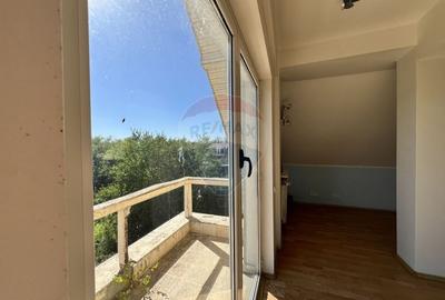Casa cu potential imens in Sat Lilieci, pe Aleea Florilor - langa raul - 25