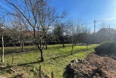Casă cu 4 camere cu Teren 2544 Mp în Cicârlău - 5
