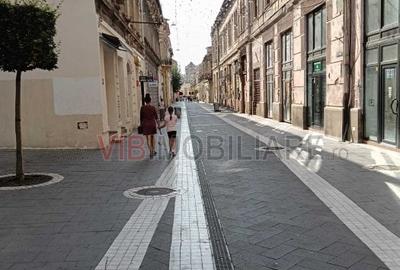 Arad - Spatiu comercial pe Metianu, parter plus etaj - 21