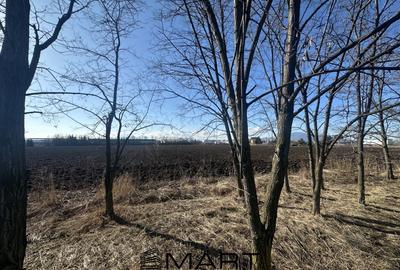 Teren agricol intravilan de 60000 mp, în Bartolomeu - 1