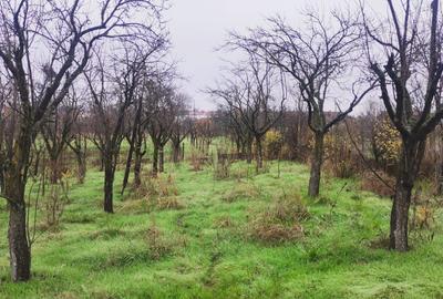 Casă cu 3 camere în Stolnici - 7