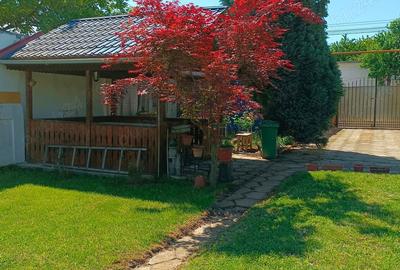 Casă cu 5 camere în Lugoj - 9