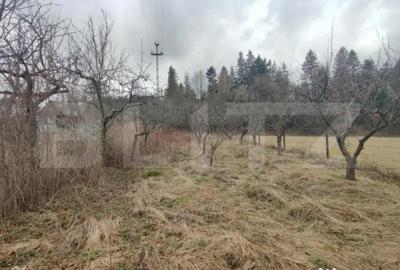 Casă cu 4 camere cu Teren 2500 Mp în Putna - 16