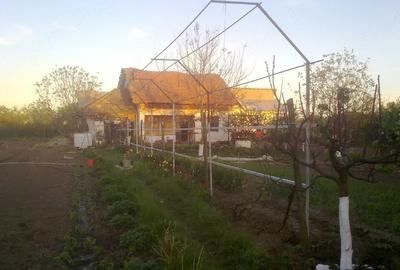 Spațiu comercial, în Mischii