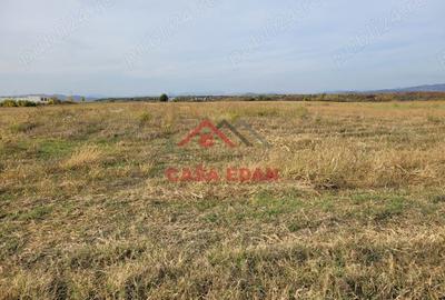 Casă cu Teren 10000 Mp în Băicoi - 2