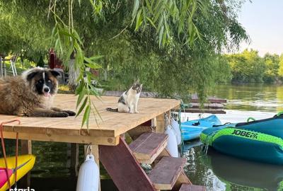 Casă cu 4 camere în Central - 8