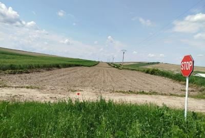 Teren agricol extravilan de 8000 mp, în Oneaga - 1