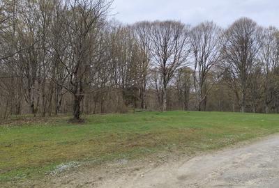 Spațiu comercial, în Central - 3