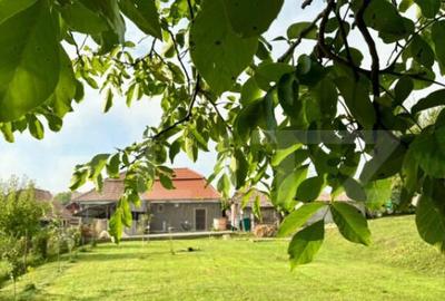 Casa renovata in Luna, langa Campia Turzii - 9