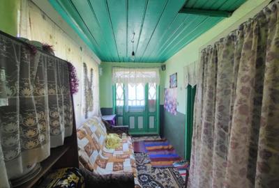 Casa cu teren generos in zona ARCADIA - 4