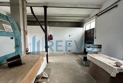 Spa?iu comercial, produc?ie sau depozitare, Racova - 2