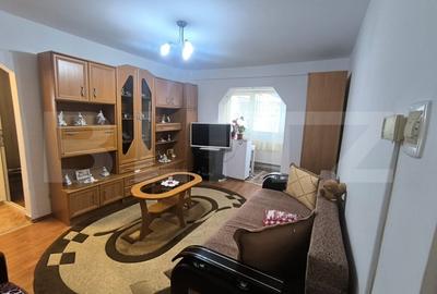 Apartament 2 camere, cu vedere spre masivul Piatra Mare, zona Noua - 1