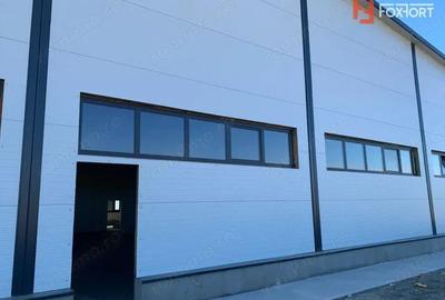 Hala industriala 600 mp, curte 1398 mp, parcare, toate utilitatile - Ghiroda - 1