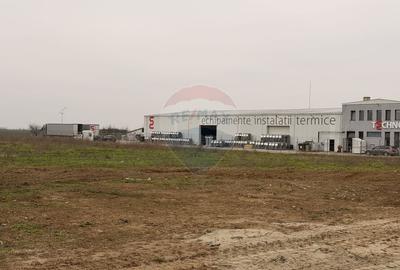 Teren agricol intravilan de 7868 mp, în Calea Aradului - 5