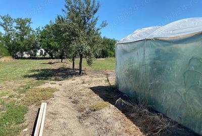 Casă cu 3 camere în Jamu Mare - 8