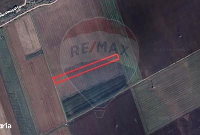 Spațiu comercial, în Sânpetru - 3