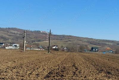 Teren de 4730 mp, în Boldești - 7