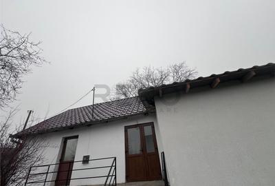 RECO, casa in Sinteu, aproape de Huta Slavia - 4