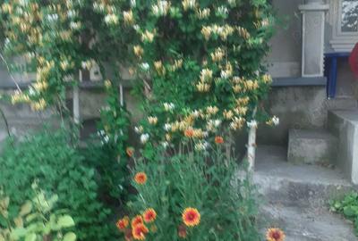 Vind casa in sat URLE?TI com CORNI jude?ul Gala?i Vind casa in sat URLE?TI com CORNI jude?ul Gala?i - 1