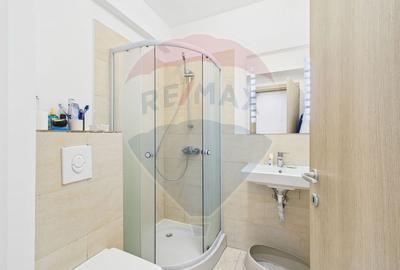 Penthouse cu 3 camere, mobilat în Pipera - 10