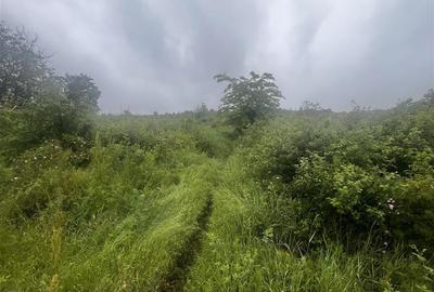 Teren intravilan, 1000mp, in Valea Calugareasca. - 10
