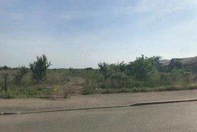 Teren Construcții intravilan de 5000 mp, în Giurgiului - 4