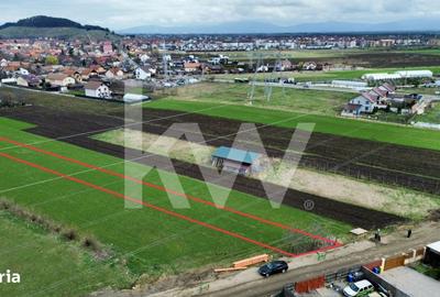 Spațiu comercial, în Sânpetru - 4