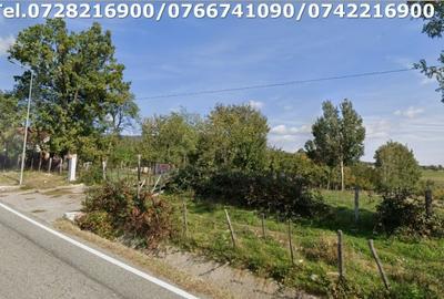 Teren Construcții intravilan de 5445 mp, în Exterior Nord - 1