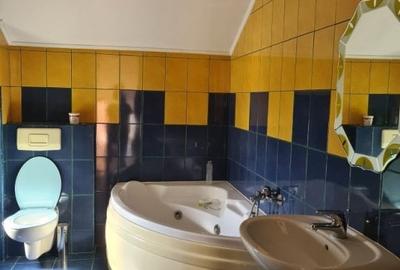 Casa individuala, 325 mp, teren 6475 mp, Vetis, Satu Mare! - 20