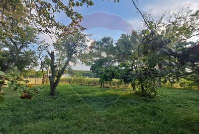 Casă de vânzare, 3 camere, langa manastirea Runc - 8