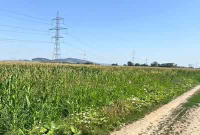 Teren agricol intravilan de 10700 mp, în Triaj - 2