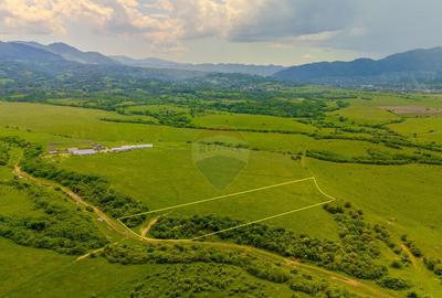 Teren 10,800mp Rasnov / Drumul DN73 - 2