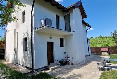 Casă cu 5 camere cu Teren 993 Mp în Calea Caransebeșului - 3